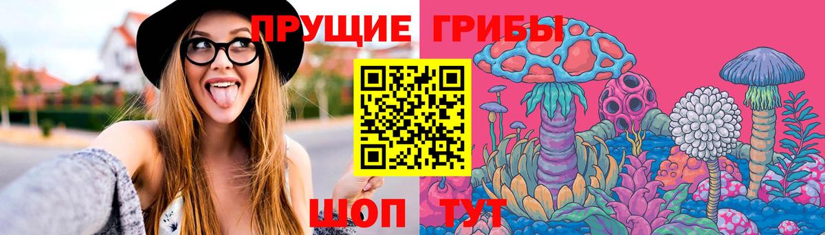 Псилоцибиновые грибы мицелий Сунжа